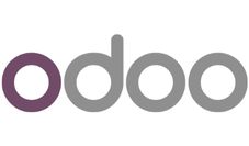 Odoo ERP accessibility audit and testing services - WCAG, ADA 508, EAA - EN 301 549