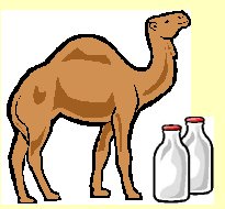 camel milk autism
