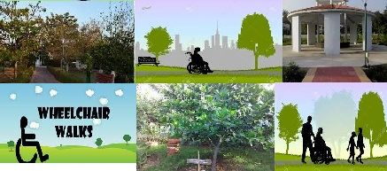 wheelchair tree walk related images
