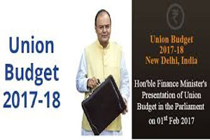Union budget 2017-18 for persons with disabilities 